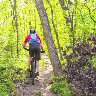 Gegenseitig Rücksicht nehmen - Mountainbiker sind gerne abseits der Waldstrassen unterwegs. Daran haben Forst und Jäger nur wenig Freude. In Hägglingen sucht man jetzt einen Kompromiss durch den Bau von legalen Tracks. Symbolbild: Pixabay