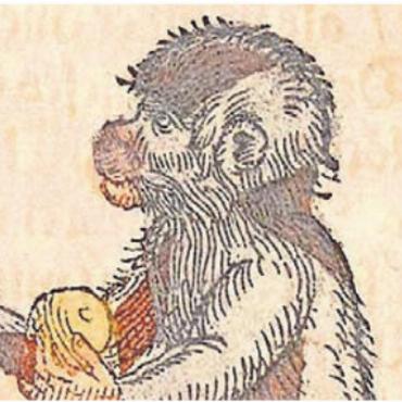 Kostbares neu kolorieren - Im Medizinhistorischen Museum gibt es allerlei Spannendes zu entdecken. Bild: zg