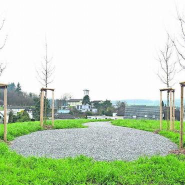 Aus der Jubiläums-Eiche - Frühling 2024 – Kiesweg und Treppe sind erstellt und die vier Ahorn-Jungpflanzen gesetzt. Bilder: Richard Gähwiler