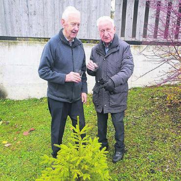 Neue Tanne für den Tannliclub - Otti Bucher, Beinwil (links), und Herbert Küng, Muri, beide mit Jahrgang 1933, stossen auf das noch junge Ersatztannli in Geltwil an. Bild: zg