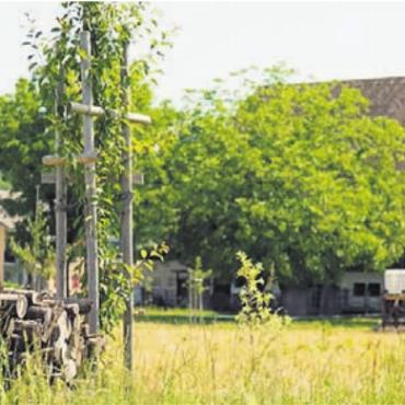 Zmorge mit Hofführung - Preisgekrönter Landwirtschaftsbetrieb: Beim Hof Adlerzart dreht sich alles um Kreisläufe und Formen von Agroforst. Bild: zg