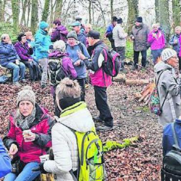 Über Felder und Wiesen - Über 60 Personen zogen auf der Abschlusswanderung von Muri via Besenbüren nach Bünzen. Bild: zg