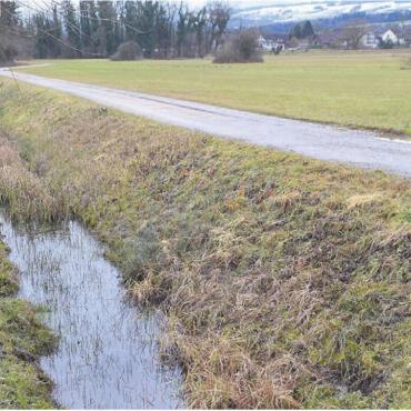 Ökologische Vielfalt steigern - Heute verläuft der Girizkanal weitgehend schnurgerade, parallel dazu der Flurweg, der weichen soll. Bilder: Thomas Stöckli / zg