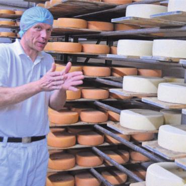 Grosse Passion für den Käse - Hier lagern die Käse. Die jüngsten sind noch weiss, die älteren orange-braun.