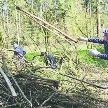 Waldrand als Lebensraum - Zu Haufen aufgeschichtet, dient das geschnittene Holz ebenfalls als Lebensraum.