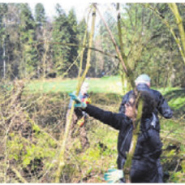 «Waldputzete» - Arbeitstag im Wald. Bild: Archiv