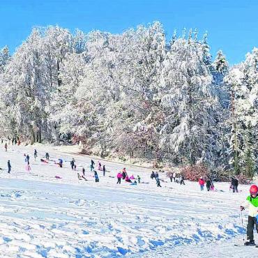 Früher Winterzauber - Ein prächtiger 1. Advent. Der Neuschnee und der strahlend blaue Himmel lockten die Menschen auf den Freiämter Hausberg Horben. Bilder: chh (2), awa (1), spr (1), rwi (1), cbl (1), huy (1)