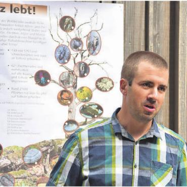 Holz ist nicht gleich Holz - Kreisförster Rolf Fankhauser setzt sich für einen gesunden Kreislauf im Wald ein.