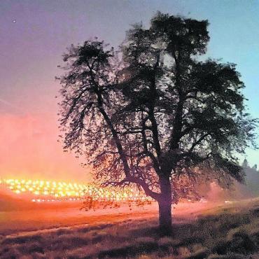 Niederwil brennt: Frostschutz der Weinreben in der Nacht auf Samstag. - Bild (nur im Querformat) an: leserbild@ bbawa.ch oder leserbild@ derfreiaemter.ch