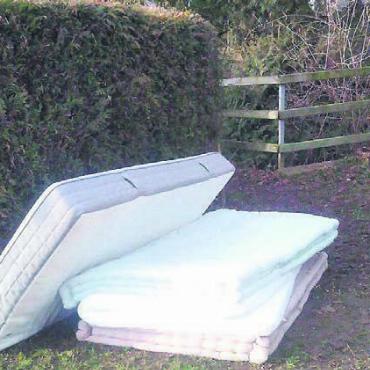 Oberrüti: Abfall illegal entsorgt