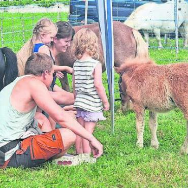 Musik liegt im Zentrum - Tierisch viel Spass machte es allen, die Ponys zu besuchen, auch das ist Auwer Dorffest.