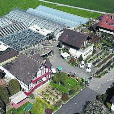 Start in die Gartensaison 2024 - Die Gärtnerei Waldispühl in Sins Oberdorf.