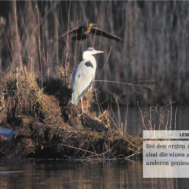 LESERFOTO