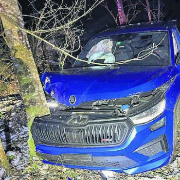 Betrunken gegen Baum geprallt - Im Waldstück Galgeholz ereignete sich der Unfall. Bild: pz