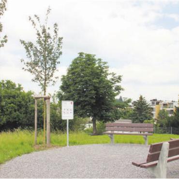 Ruhepol in nächster Nähe - Ein Ort der Ruhe, abseits der Strasse und doch so nah.