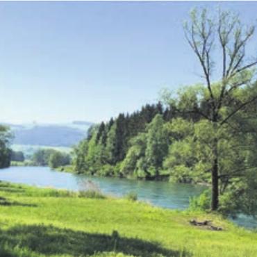 Mit den Naturfreunden der Reuss entlang - An diesem schönen Ufer, mit Traumaussicht, führt die Wanderung entlang. Bild: zg