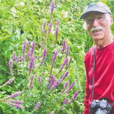 Die effizienteren Bestäuber - Fasziniert von Wildbienen: Detlef Conradin aus Benzenschwil. Bild: tst