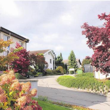 Wasserleitung ersetzen - Im Quartier Schönfeld sind Wasserleitungsarbeiten geplant. Bild: gk