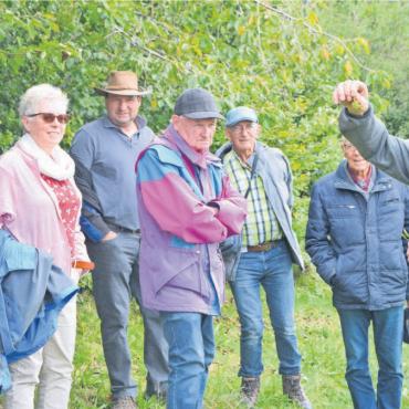 Der Stolz der Ortsbürger - Rolf Stöckli verdeutlicht, was vielen beim Anblick des Murianer Rebbergs schon bewusst war: Die Ernte fällt heuer dürftig aus, vor allem wegen des Mehltaus. Bild: Annemarie Keusch