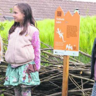 Drei Projekte für die Natur - Stolz präsentieren diese Schülerinnen eines der vielen Projekte, die im Rahmen der Projektwoche «Schule fürs Klima» zustande gekommen sind. Bild: cbl