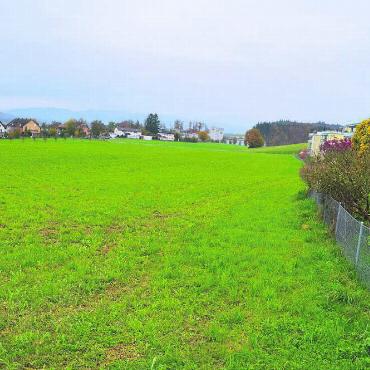 Nächster Schritt für Langweid - Auf dem neu eingezonten Gebiet Langweid könnten rund 120 Wohnungen entstehen. Bild: Thomas Stöckli
