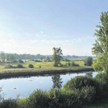 Auen, Riedwiesen, Flachsee - Die Altwasserlandschaft Stille Reuss. Bild: zg