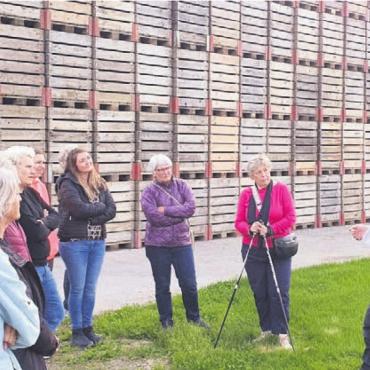 Kartoffeln und Rindfleisch - Auf dem Huserhof gab es für die Wohler Landfrauen ganz viele Informationen zum Kartoffelanbau. Bild: zg