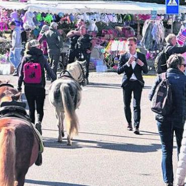 Bestes «Märt»-Wetter - Ob Mensch oder Tier: Das Wetter passte allen Besuchern. Bilder: spr