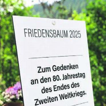 Die Gedenktafel in Lermoos.