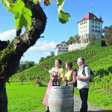 Regionen erlebbar machen - Auf Weindegustationen dürfen sich auch die Besucherinnen und Besucher der Mega24 freuen. Im Bild eine Weindegustation beim Schloss Heidegg. Bild: Seetal Tourismus / Christian Perret