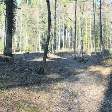Vergangenes kenntlich machen - Durch die Lichtung des Unterholzes sind die feinen Grabhügel besser zu erkennen. Neu führt ein Weg durch die Nekropole hindurch.