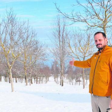 Ein Stück Natur verschenken - Hat wieder Baum-Patenschaften zu vergeben: Jules Frey in seinem Lebensbaum-Park über Buttwil. Bild: Thomas Stöckli