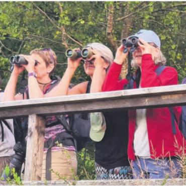 Doppeltes Jubiläum am Flachsee - Die Mitglieder des Natur- und Vogelschutzvereins Wohlen entdeckten viele seltene Tiere am Flachsee. Bilder: zg