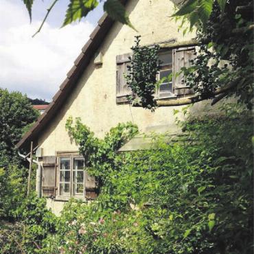 Für Vielfalt und Lebensqualität - Begrünte Fassaden – die Idee ist nicht neu.