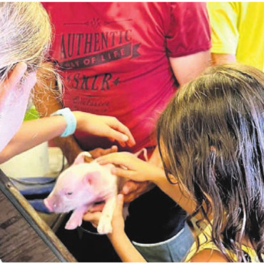 Wichtige Begegnungen - Bei den Kindern beliebt: Kontakt zu den Tieren. Bild: zg