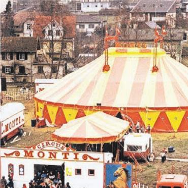 Kleines Wunder – aber kein Zufall - Der Start: Am Stegmattweg stellte der Circus Monti sein erstes Zelt auf.