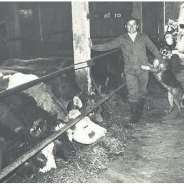 Für das Wohl der Tiere - Ein Bild aus alten Tagen: Hans Vock vor 50 Jahren auf dem Wendelinhof, damals noch mit einem konventionellen Stall.