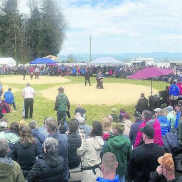 Nur Freiämter Sieg hat gefehlt - Das Wetter erschien am Morgen noch etwas wechselhaft, hielt aber den ganzen Tag und lockte insgesamt 1600 Zuschauer ans Schwingfest. Bilder: Josip Lasic (3), Stefan Sprenger (2)