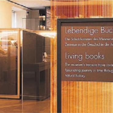 Blick in Medizinhistorie - Das Museum für medizinhistorische Bücher Muri umfasst eine grosse, wertvolle Sammlung. Bild: zg