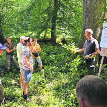 Neophyten und Klimawandel - Revierförster Stefan Staubli zeigt der Bevölkerung die verschiedenen Funktionen des Waldes. Bild: gk