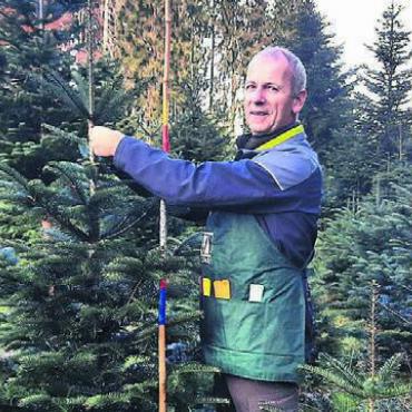 Mit Adventsfenster kombiniert - Förster Stefan Staubli beim Auswählen und Markieren der Weihnachtsbäume. Bild: zg