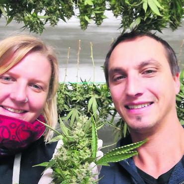 Die ganze Vielfalt des Hanfes - Sie stehen hinter der Zauber-Blüten Hanf GmbH: Rita Vogt und Sebastian Hampl aus Oberlunkhofen. Bild: zg