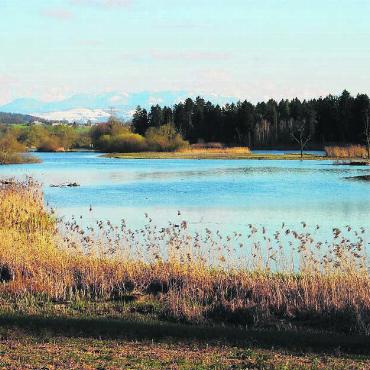 Flachsee im Wandel der Zeit - Die Landschaft am Flachsee verändert sich laufend. Bild: zg
