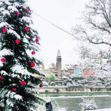 Früher Winterzauber - Vorne der Weihnachtsbaum, hinten die Bremgarter Altstadt.