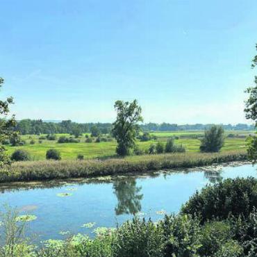 Auen, Riedwiesen, Flachsee - Die Altwasser-Landschaft der Stillen Reuss ist Teil des Natur- und Bild: zg