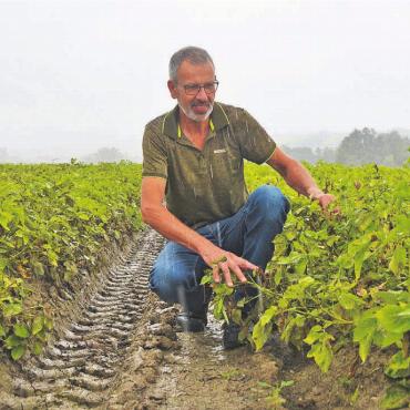 In diesem Ausmass nie erlebt - In den Fahrgassen steht seit Wochen immer wieder Wasser – ins Feld fahren muss Landwirt Franz Hagenbuch trotzdem, damit die Pflanzen nicht faulen. Bilder: Annemarie Keusch