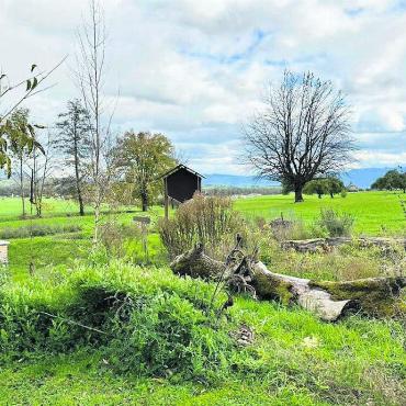 Gutes für die Bienen tun - Die Wildbienenoase des Lehrbienenstands Freiamt in Mühlau bietet eine Vielfalt an Nistplätzen. Doch auch nur schon mit hohlen Stängeln und weichen Ästen kann man den Insekten Gutes tun. Bild: zg