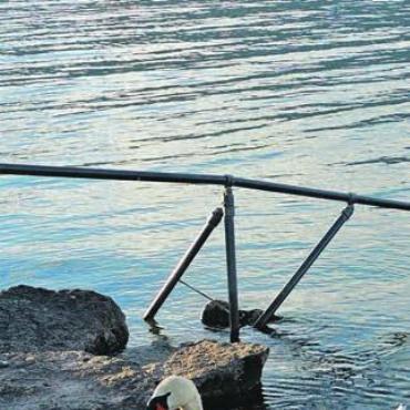 Gesundheitsaktionen: Jetzt vorsorgen und profitieren