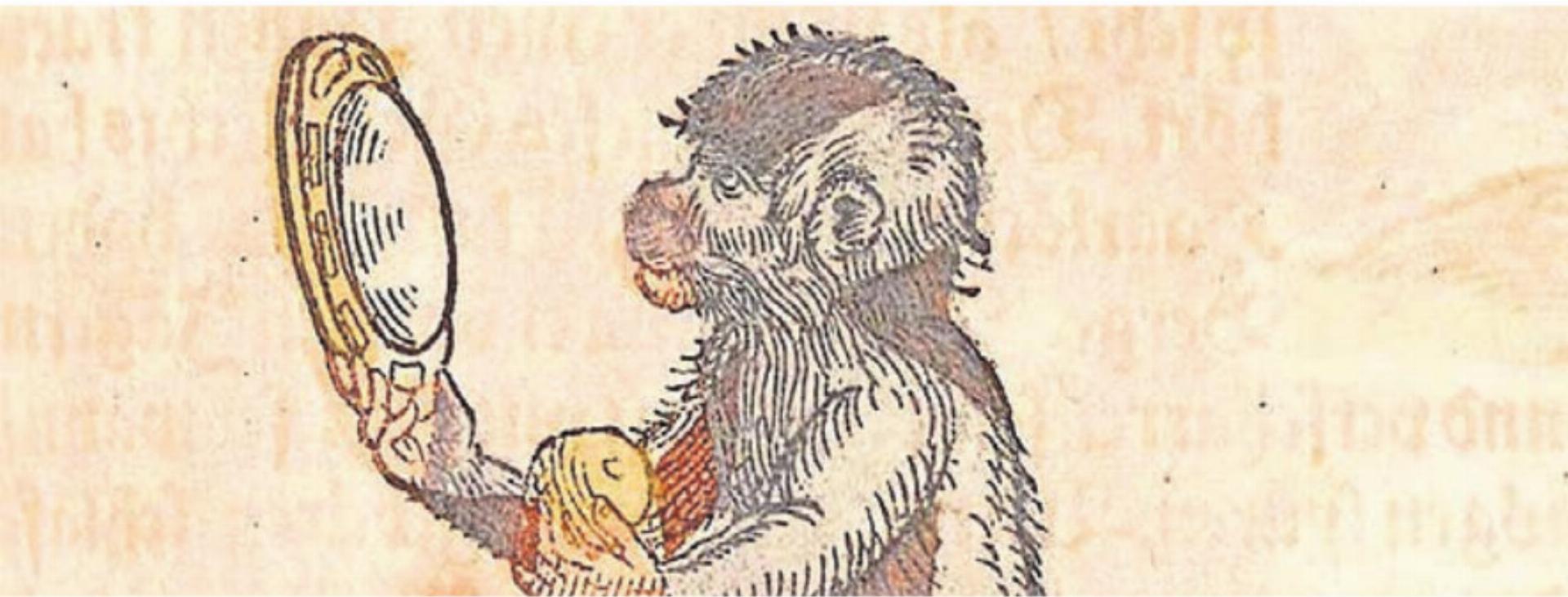 Im Medizinhistorischen Museum gibt es allerlei Spannendes zu entdecken. Bild: zg - Das Bild wird blockiert. – Möglicherweise durch einen aktiven Adblocker.