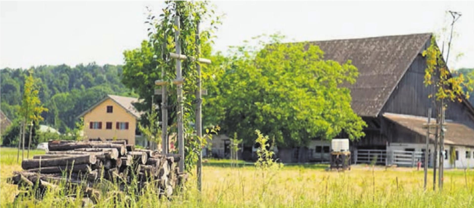 Preisgekrönter Landwirtschaftsbetrieb: Beim Hof Adlerzart dreht sich alles um Kreisläufe und Formen von Agroforst. Bild: zg - Das Bild wird blockiert. – Möglicherweise durch einen aktiven Adblocker.